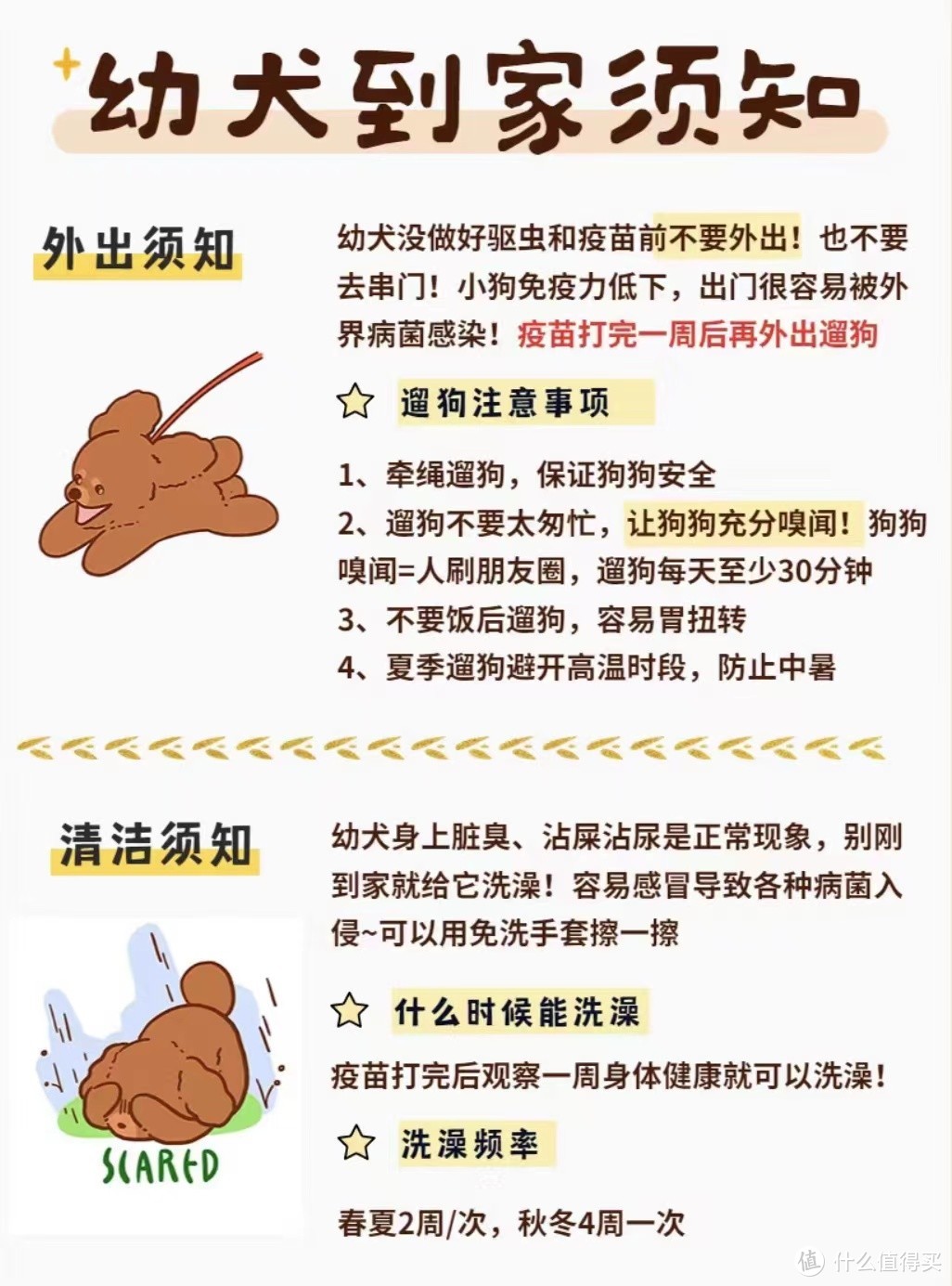 幼犬到家须知!新手养狗不要慌!